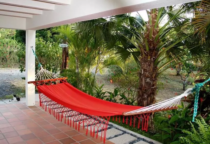 ホテル Cabañas La Casa De Pucha
