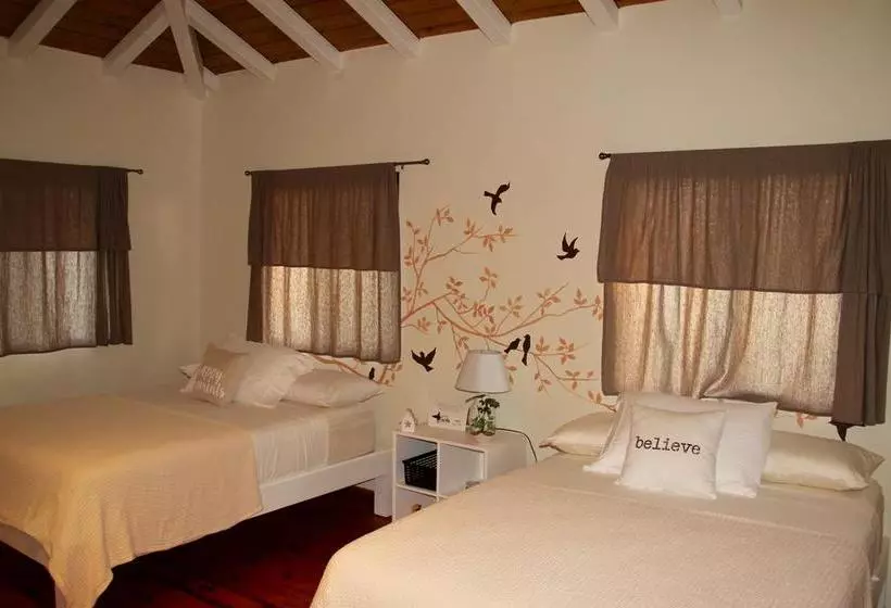 ホテル Cabañas La Casa De Pucha