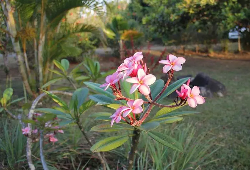 ホテル Cabañas La Casa De Pucha