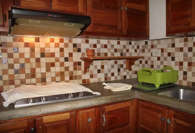 ホテル Cabañas La Casa De Pucha