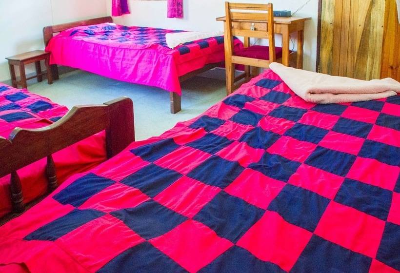 هتل New Court View