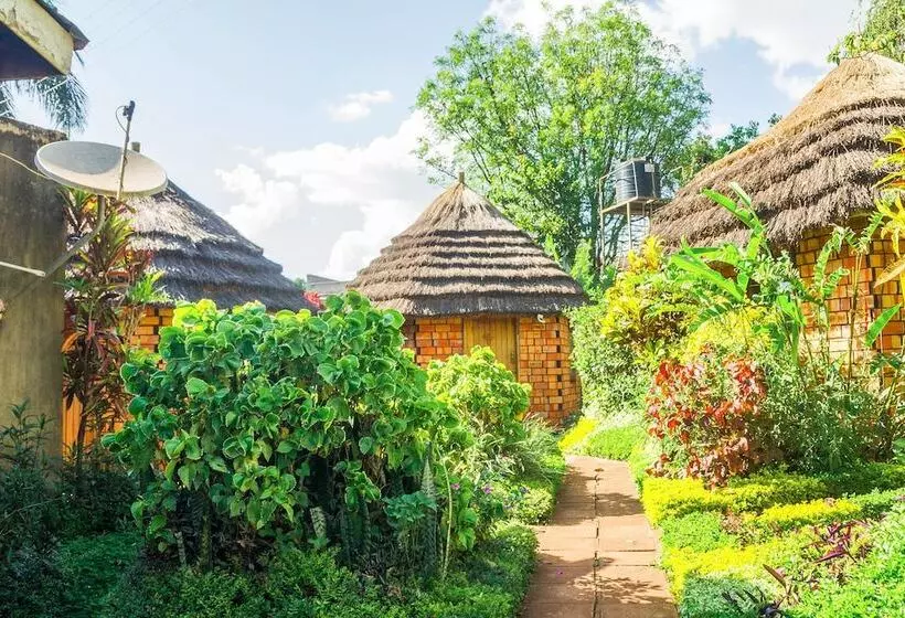 هتل New Court View