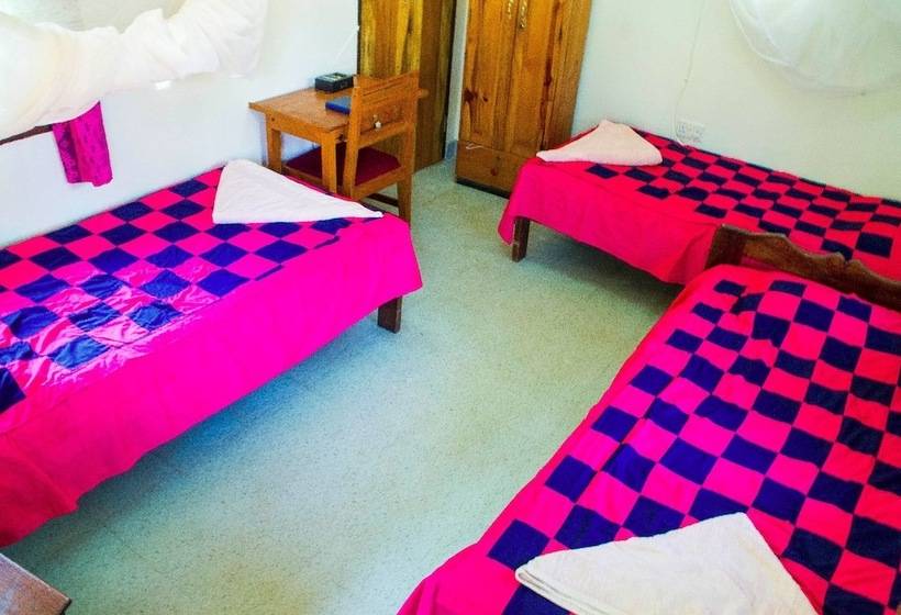 هتل New Court View