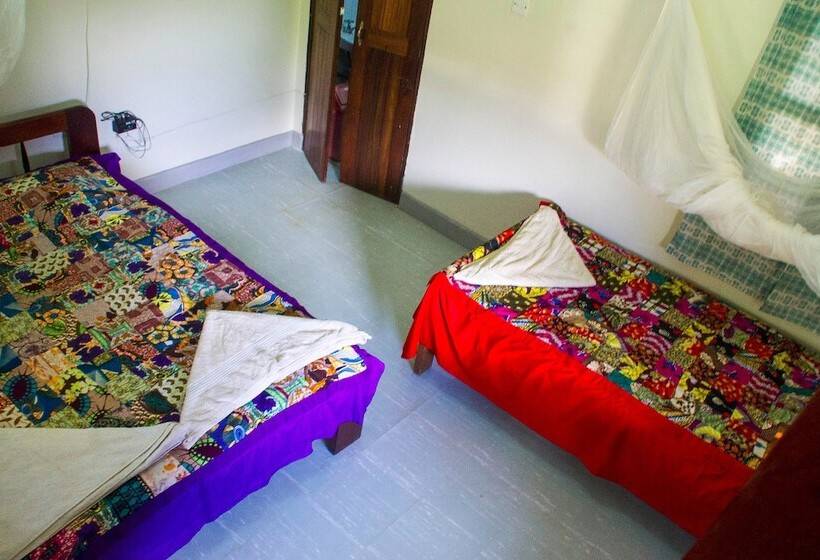 هتل New Court View