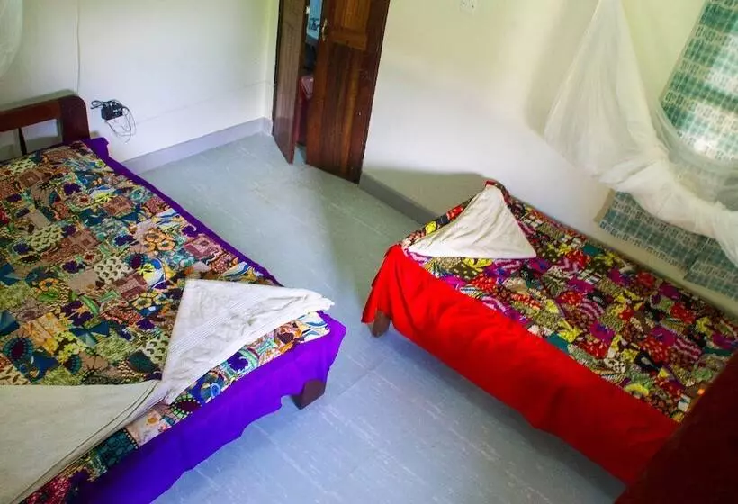 هتل New Court View