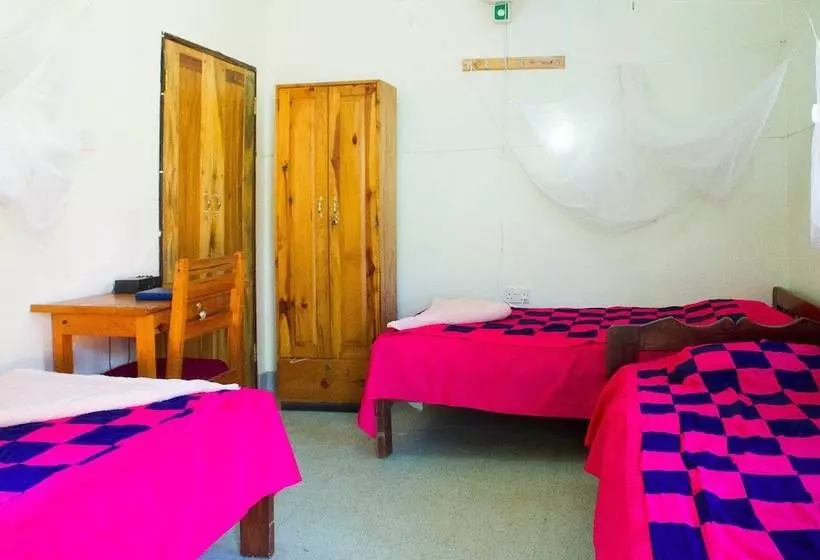 هتل New Court View