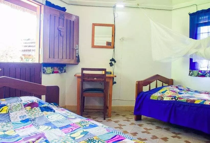 هتل New Court View