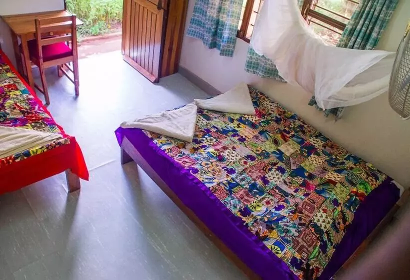 هتل New Court View