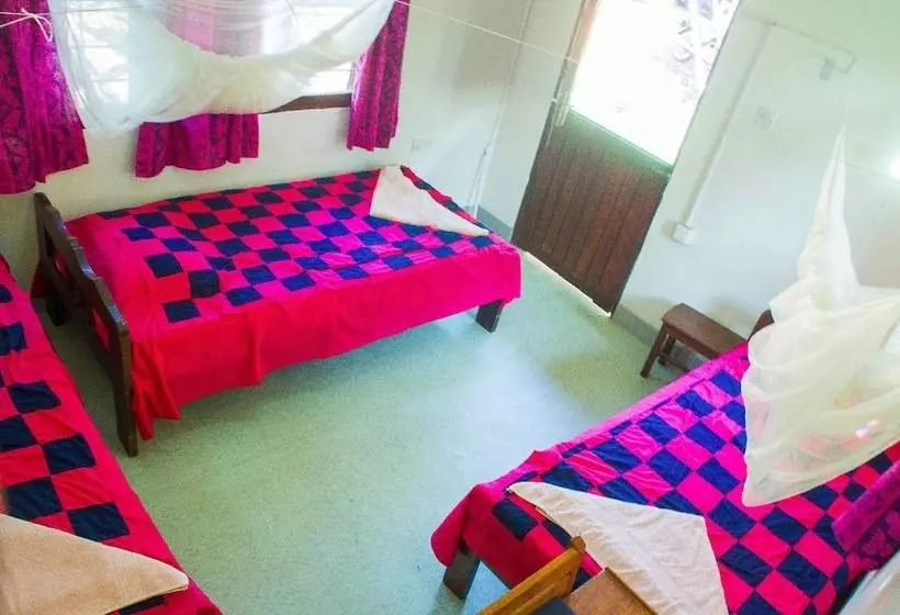 هتل New Court View