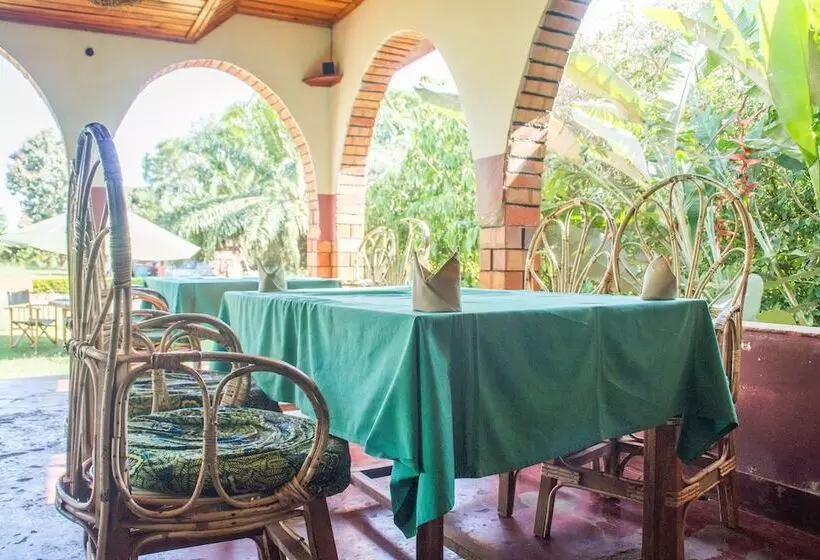 هتل New Court View