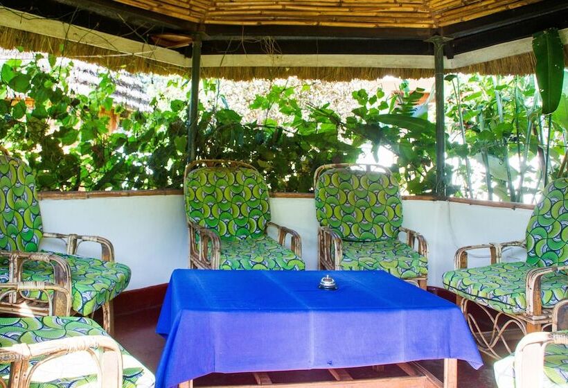 هتل New Court View