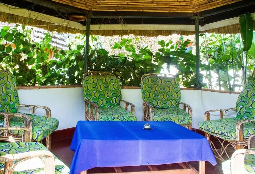 هتل New Court View