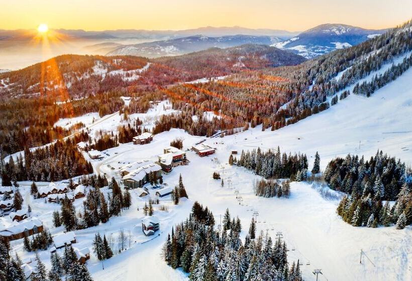 The Josie Hotel, Autograph Collection