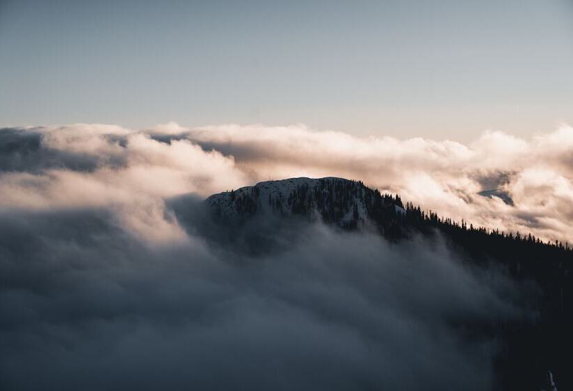 The Josie Hotel, Autograph Collection