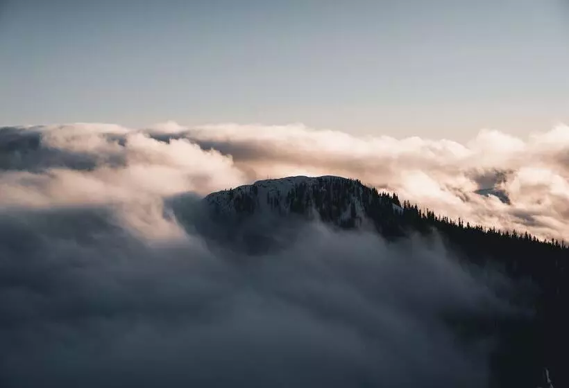 The Josie Hotel, Autograph Collection