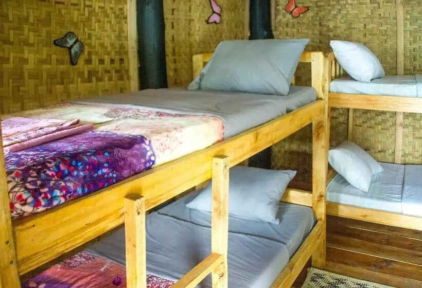 هتل The Kansiime Backpackers