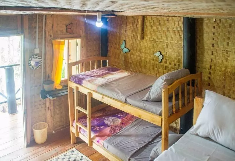 هتل The Kansiime Backpackers