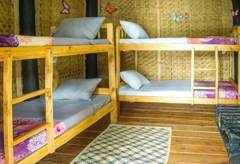 هتل The Kansiime Backpackers