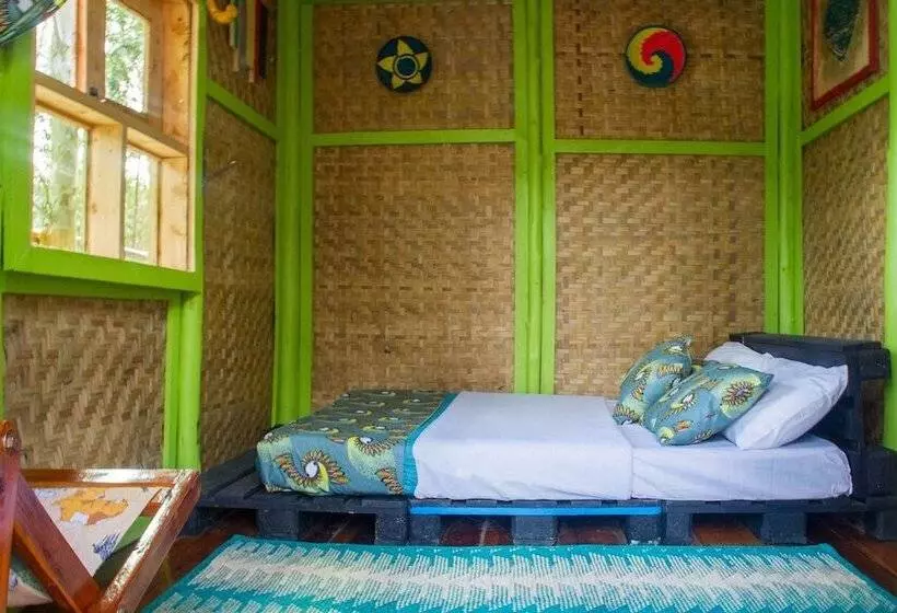 هتل The Kansiime Backpackers