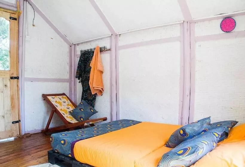 هتل The Kansiime Backpackers