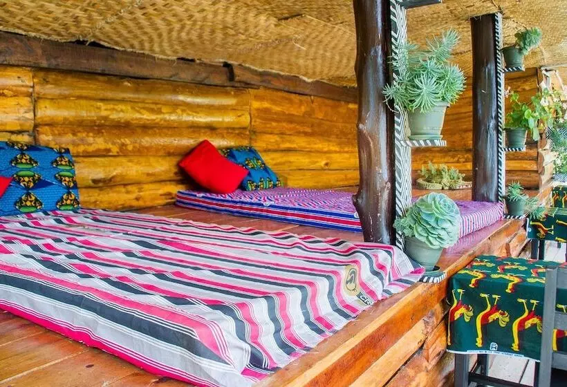 هتل The Kansiime Backpackers