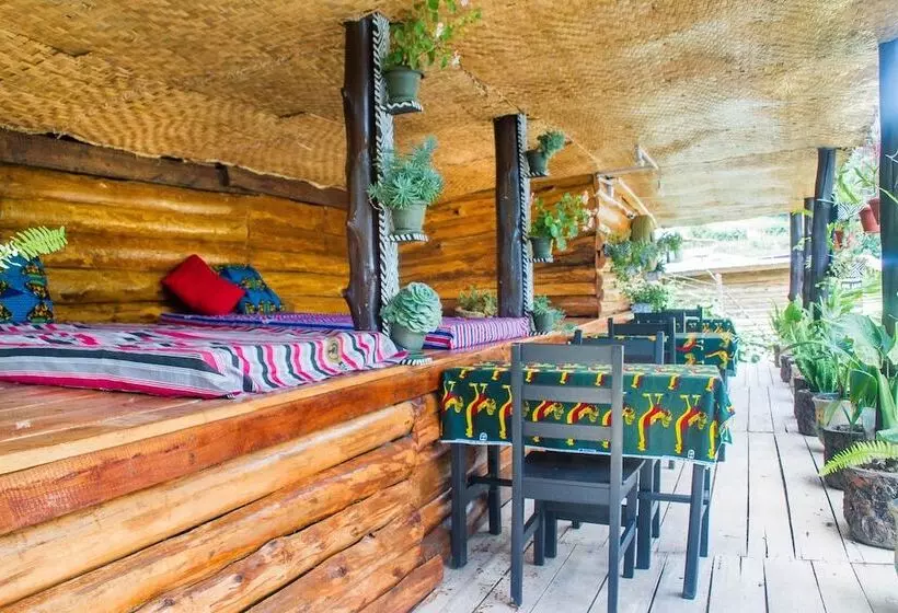 هتل The Kansiime Backpackers