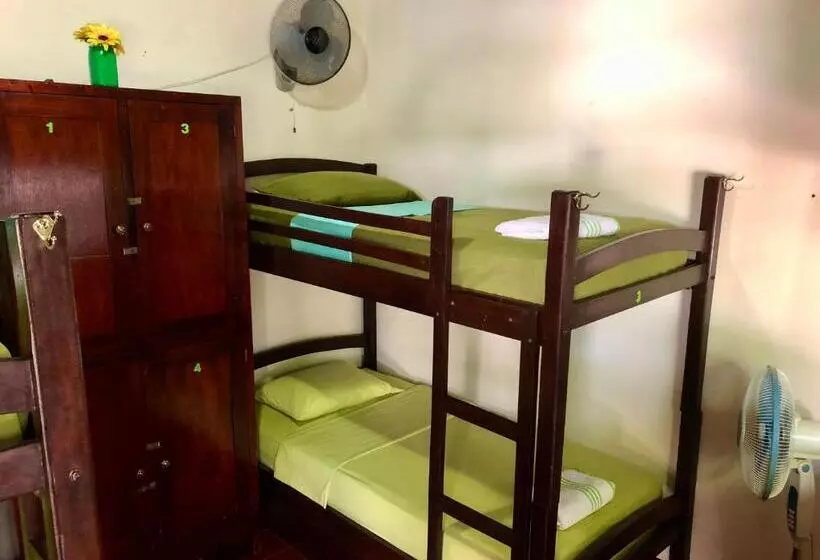 هاستل Casa Lula León Hostal