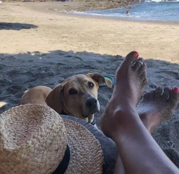 هاستل Casa Lula León Hostal