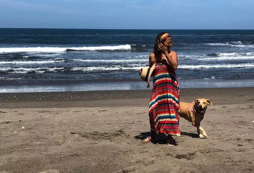 هاستل Casa Lula León Hostal