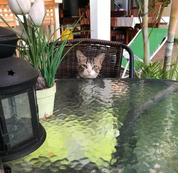 هاستل Casa Lula León Hostal