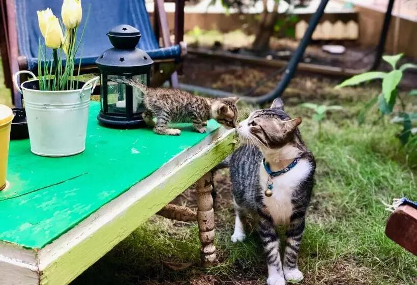 هاستل Casa Lula León Hostal