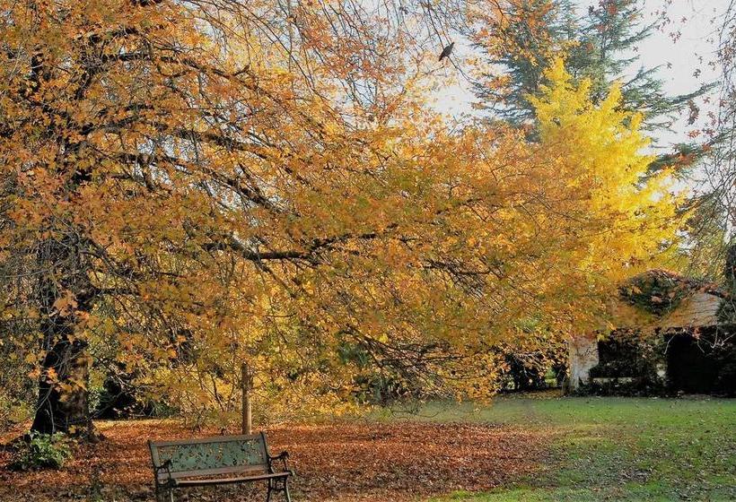 Bed & Breakfast Casa De Huã©spedes El Trebol