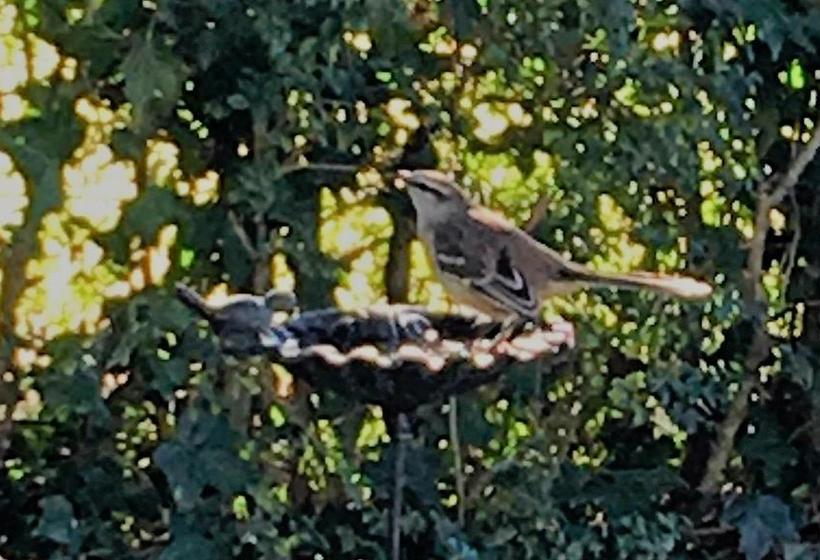 Bed & Breakfast Casa De Huã©spedes El Trebol