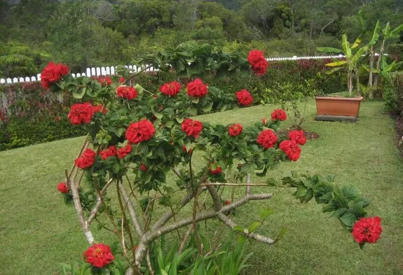 تختخواب و صبحانه L'echelle