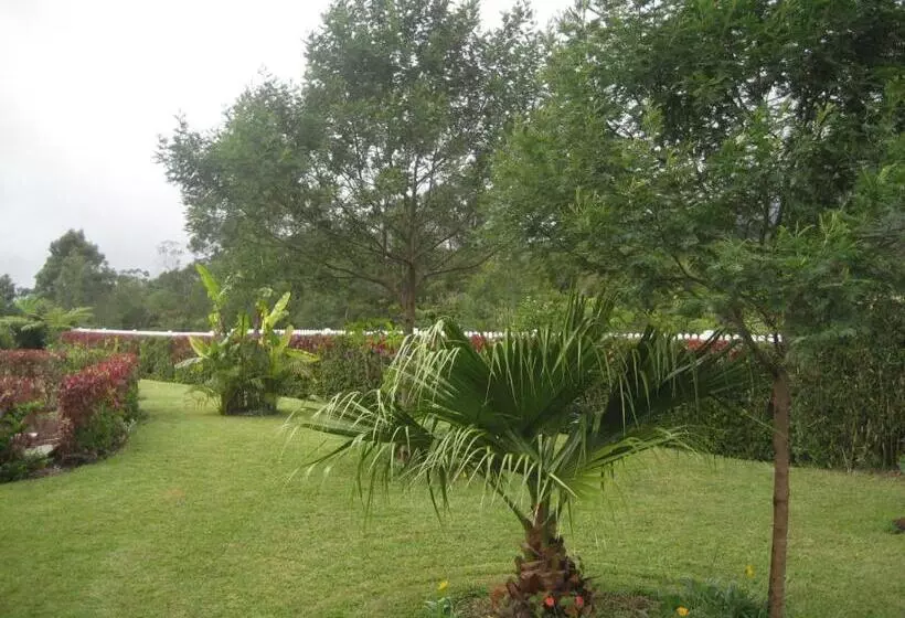 تختخواب و صبحانه L'echelle