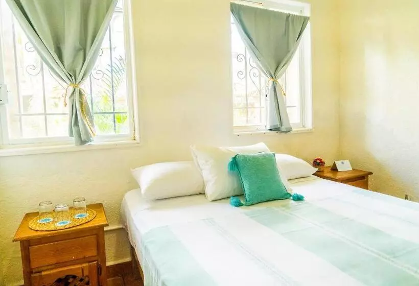Aamiaismajoitus (B&B) Sayulita Central