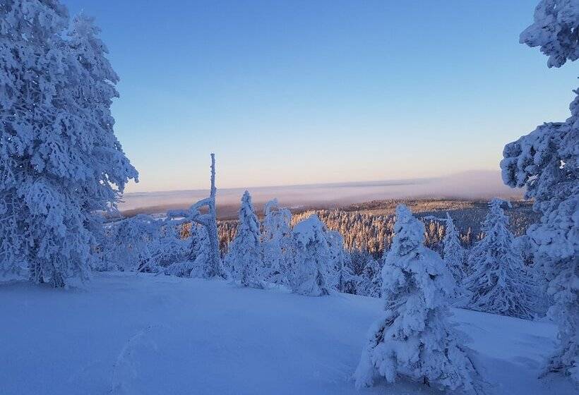 ホテル Arctic Zone