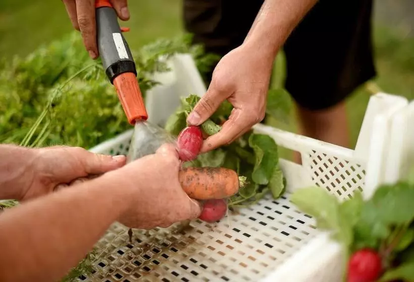 Hotelli Kloster Frauenberg