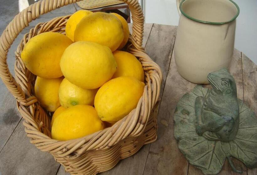 Woolshed Bed & Breakfast