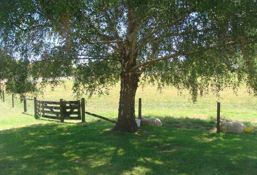 Woolshed Bed & Breakfast