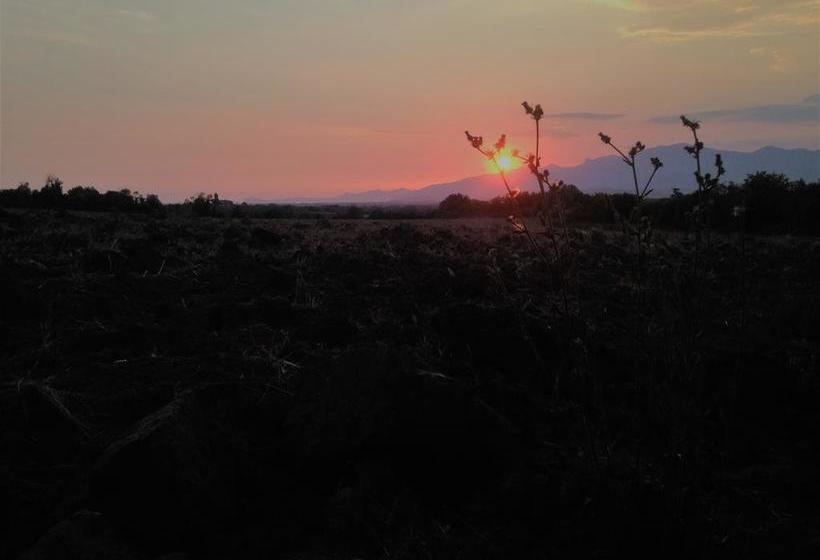 Bed and Breakfast Ponteronico Resort