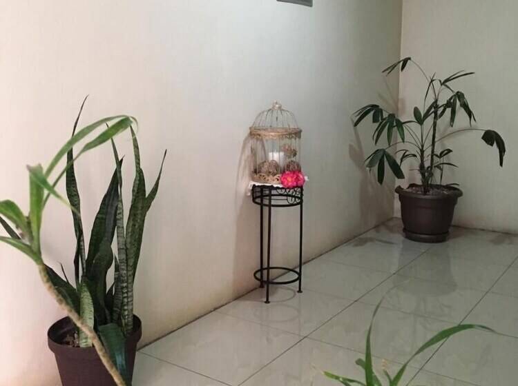 ホテル Mi Linda Tierra