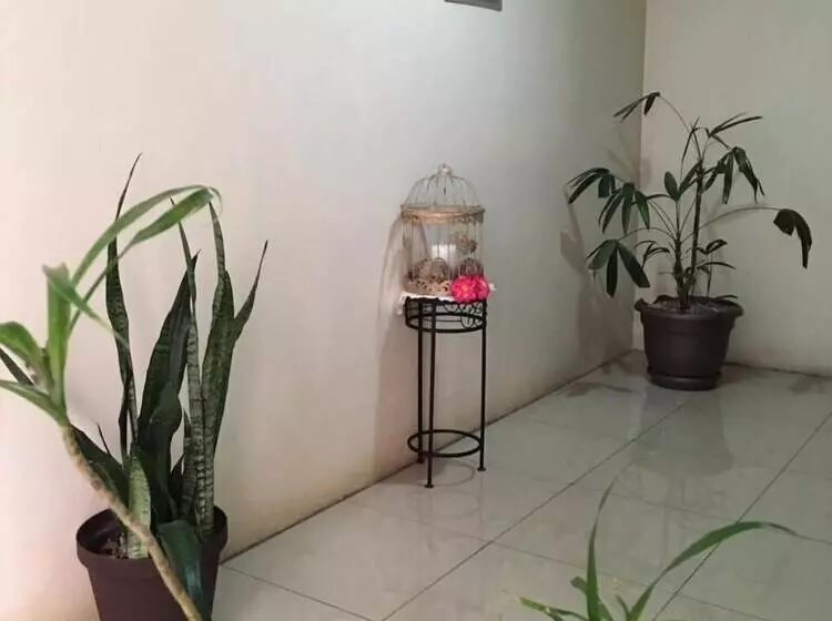 Hotelli Mi Linda Tierra