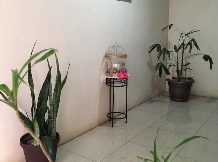 ホテル Mi Linda Tierra