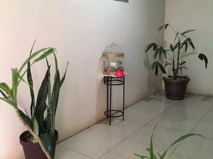 Hotelli Mi Linda Tierra