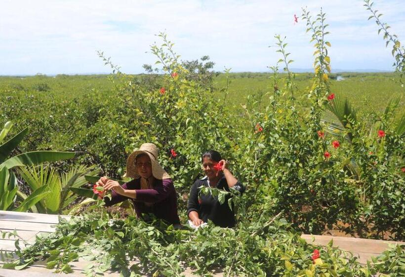 منتجع Villa F&b