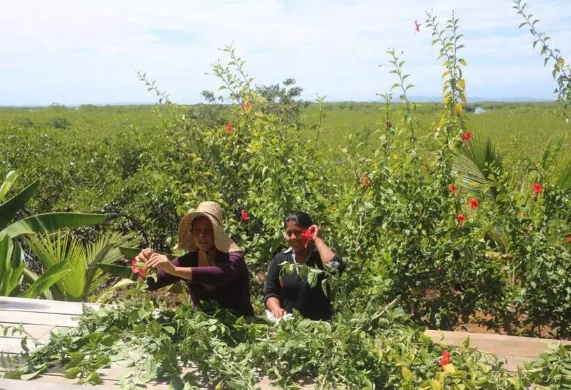 استراحتگاه Villa F&b