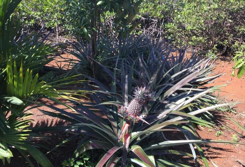 منتجع Villa F&b