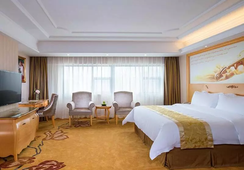 Vienna Hotel Guangdong Gaozhou City East Passenger Depot