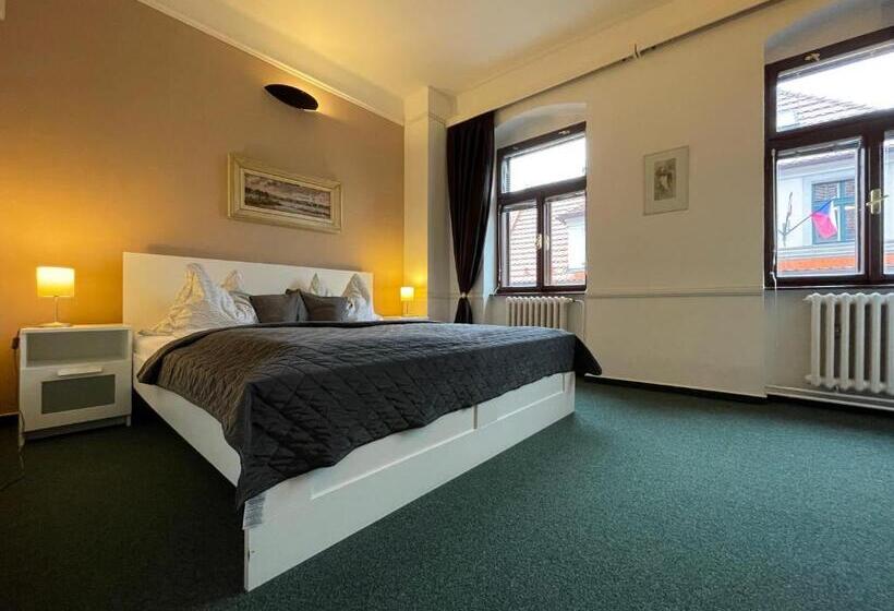 פנסיון Penzion Landauer